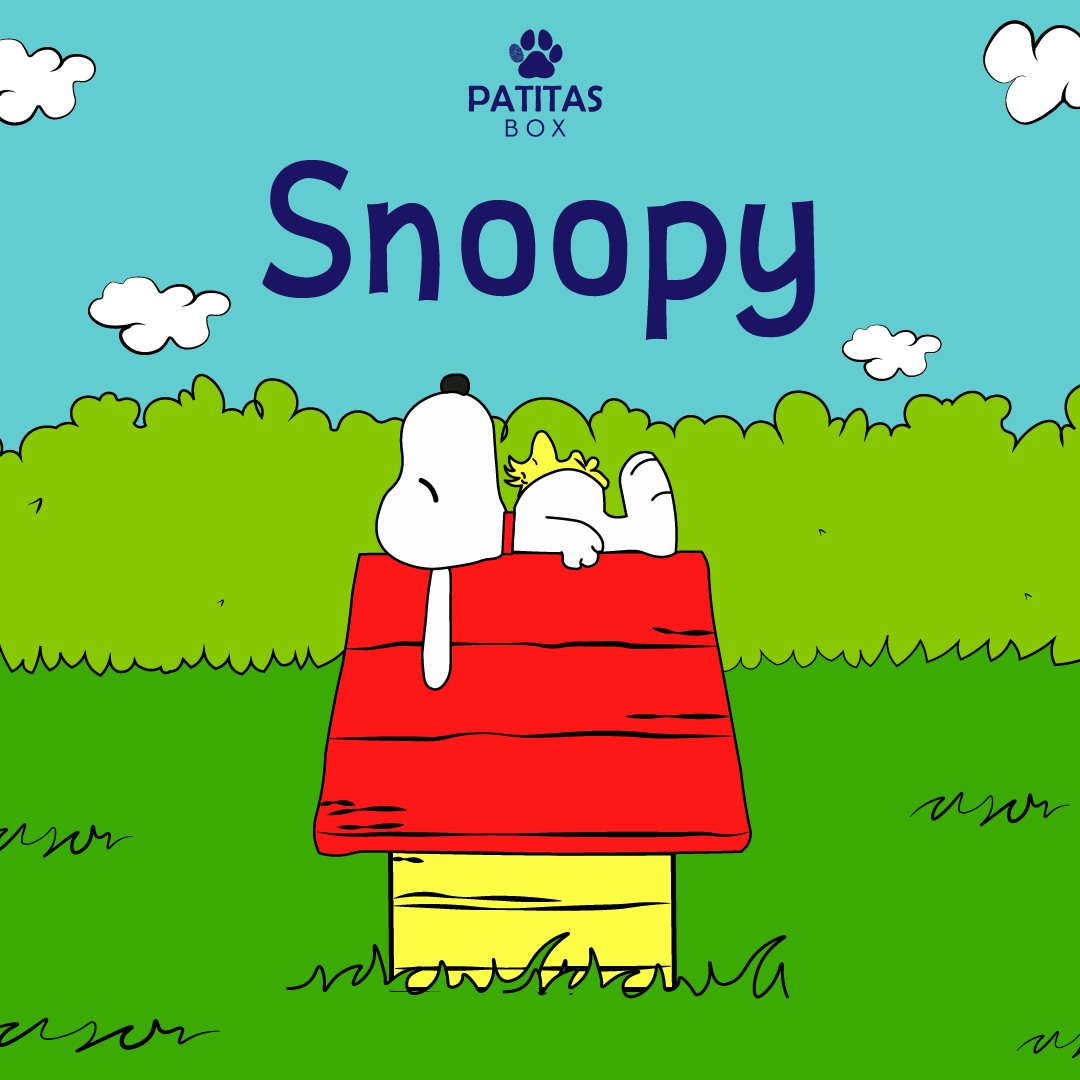 Patitas Box Snoopy