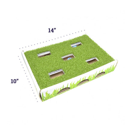 Grass Patch Hunting Box